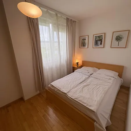 Murano Elektoralna 12a *