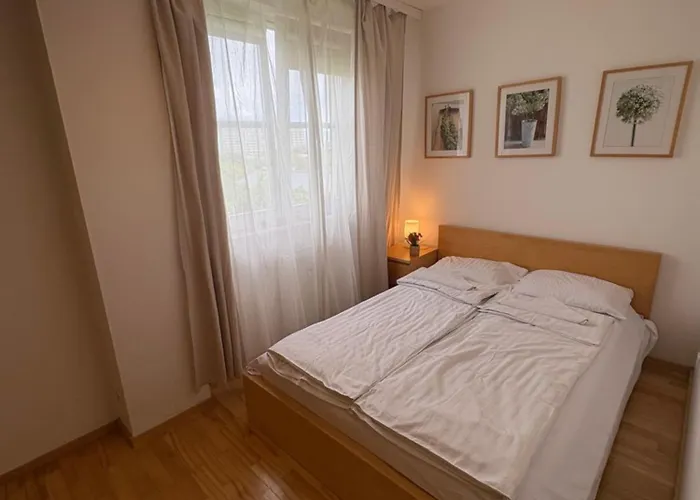 Murano Elektoralna 12a *